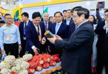 HỘI CHỢ MÙA XUÂN lần thứ nhất năm 2026: ‘KẾT NỐI THỊNH VƯỢNG