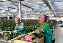 Hà Nội đang “mở đường” cho công nghệ mới với cơ chế thử nghiệm có kiểm soát