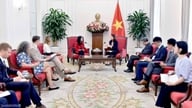 Der stellvertretende Außenminister Nguyen Minh Hang empfing den US-Botschafter in Vietnam